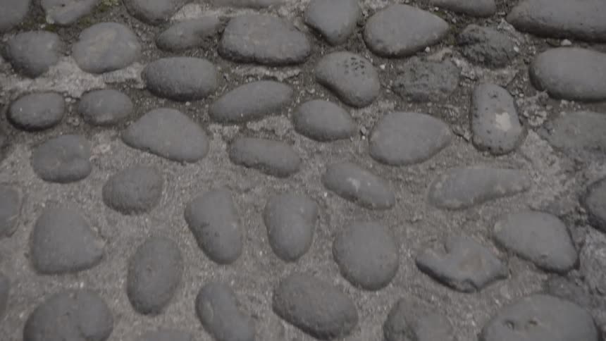 A gray cobble stone path has an abundance of gravel on it and some residual water between the stones