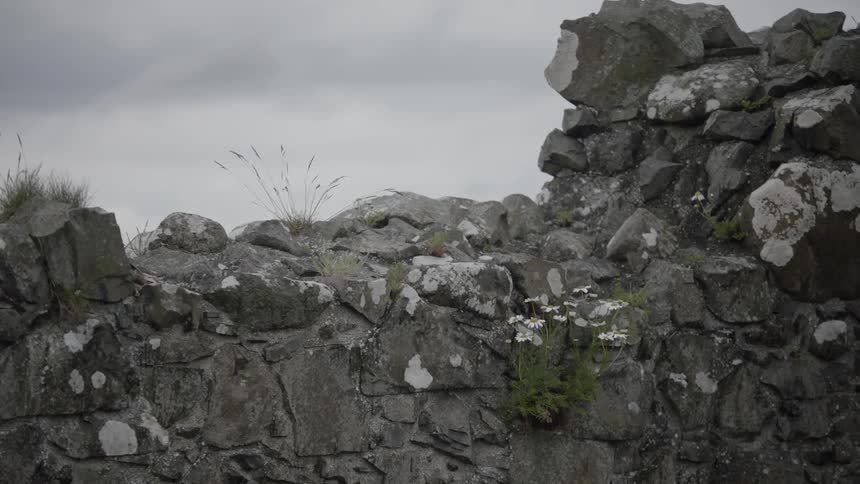 A partially standing stone wall with moss growing on it on a cloudy day