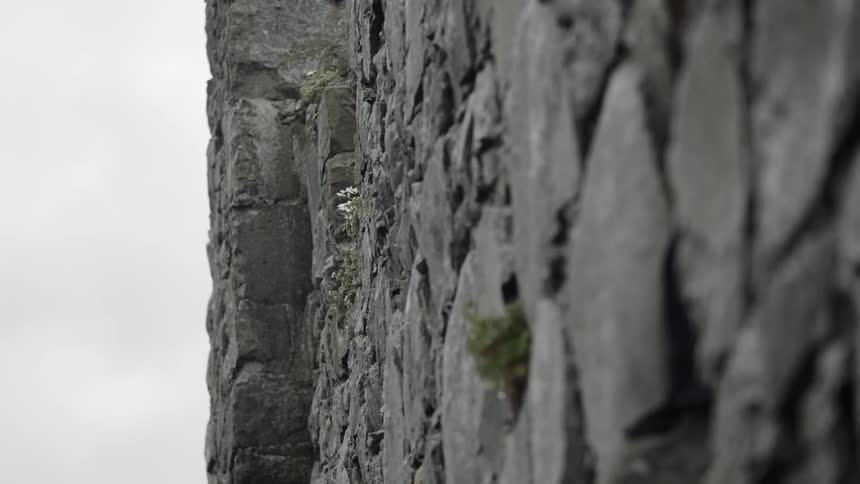 The partially standing walls of an ancient monument on the coast