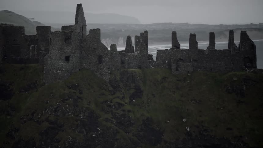 A bird flying with an abandoned fort and the ocean in the background