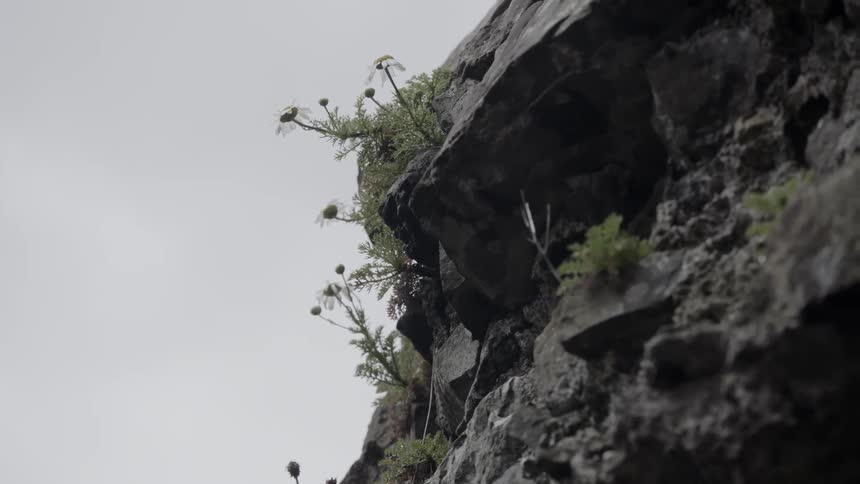 A close up of a cliff