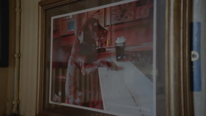 A picture of a dog sitting at a bar in a picture frame