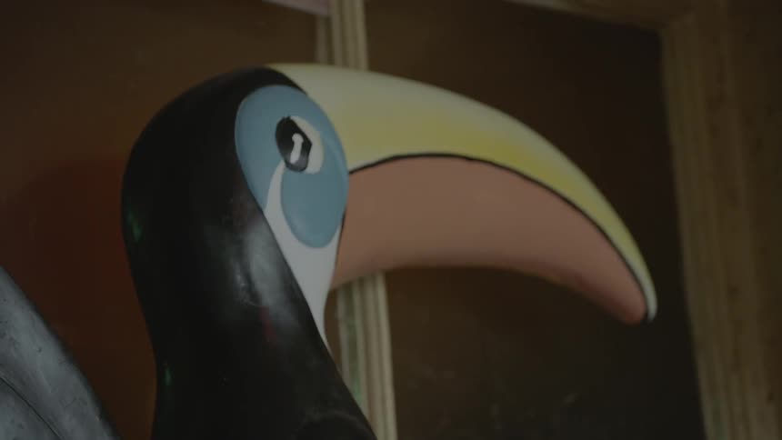 A sculpture of a wooden toucan picture frame