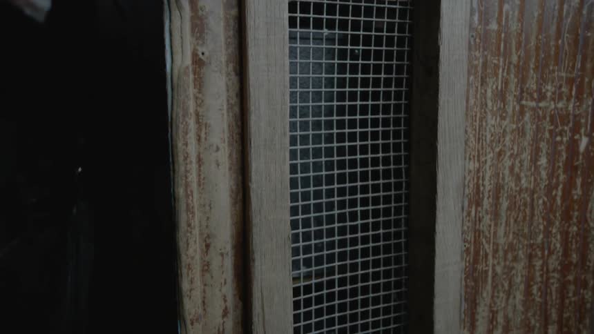 A doorway covered in metal netting