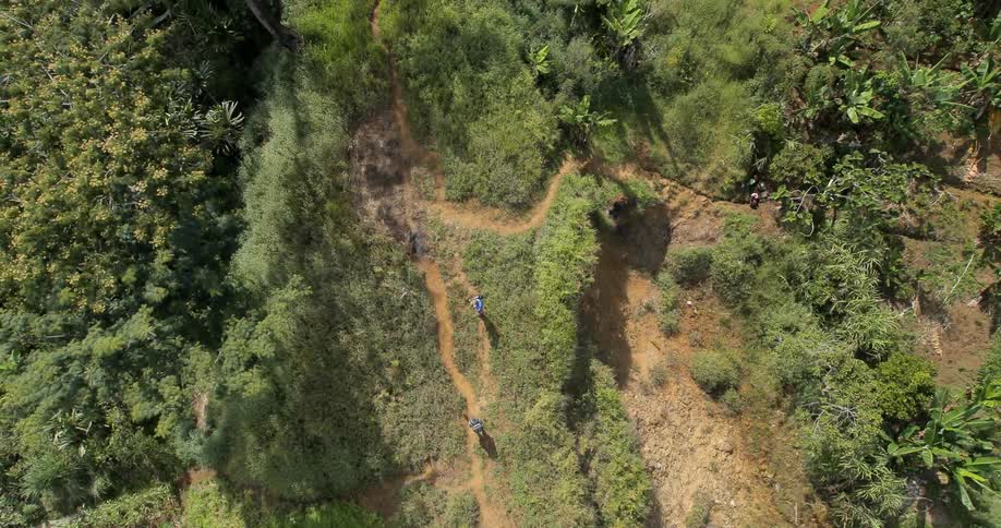 Aerial shot of people walking in the wilderness