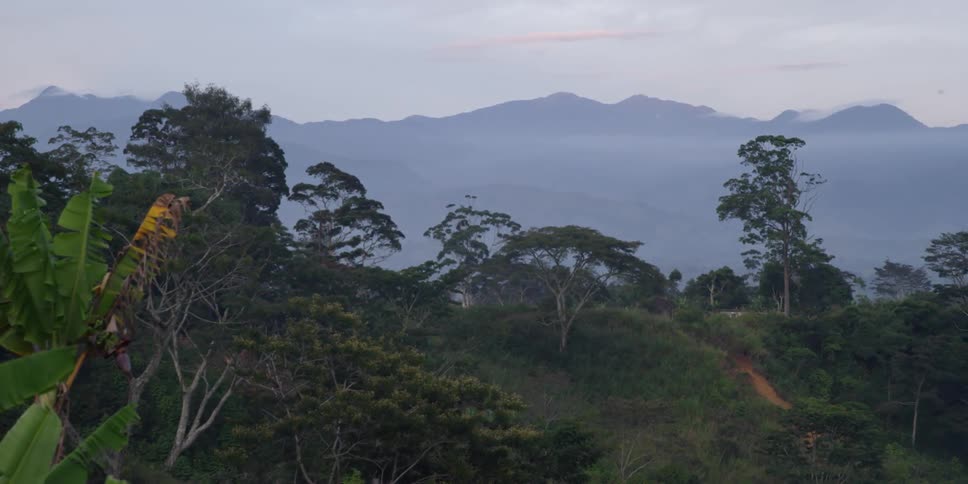 Aerial view of a mountain range
