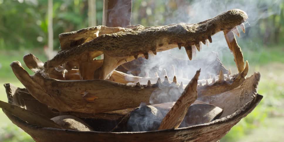 An alligator skull sits on top of smoking rocks