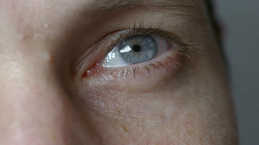 A gray blue eye gazing off into the distance while blinking