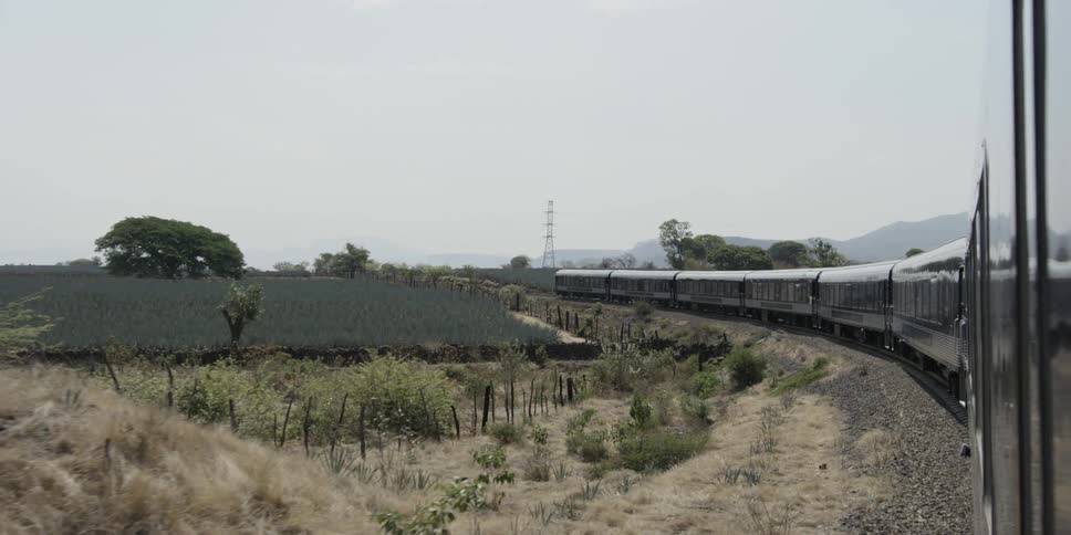 Powerful passenger locomotive takes the curve at a steady pace near some rural farm land