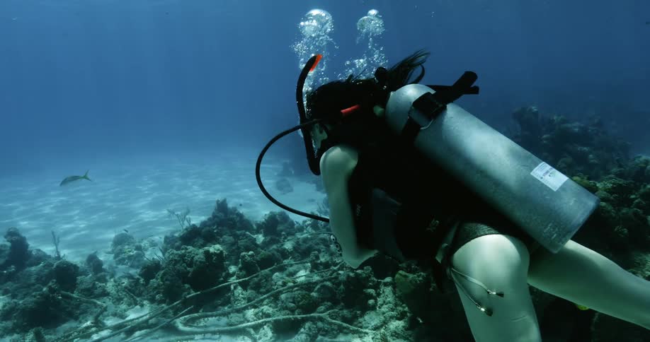 A woman scuba diving underwater with fishes