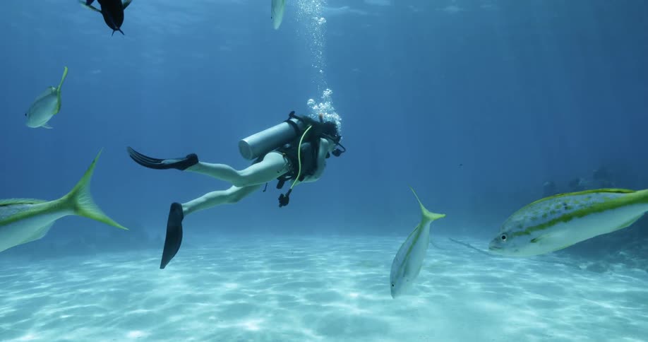A woman swimming underwater with fish
