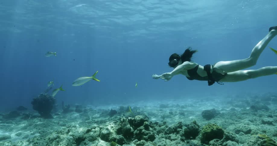 A woman swims under water with fish