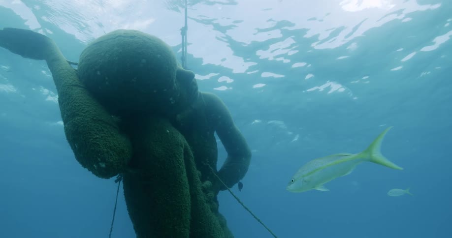 A fish swims next to an underwater statue