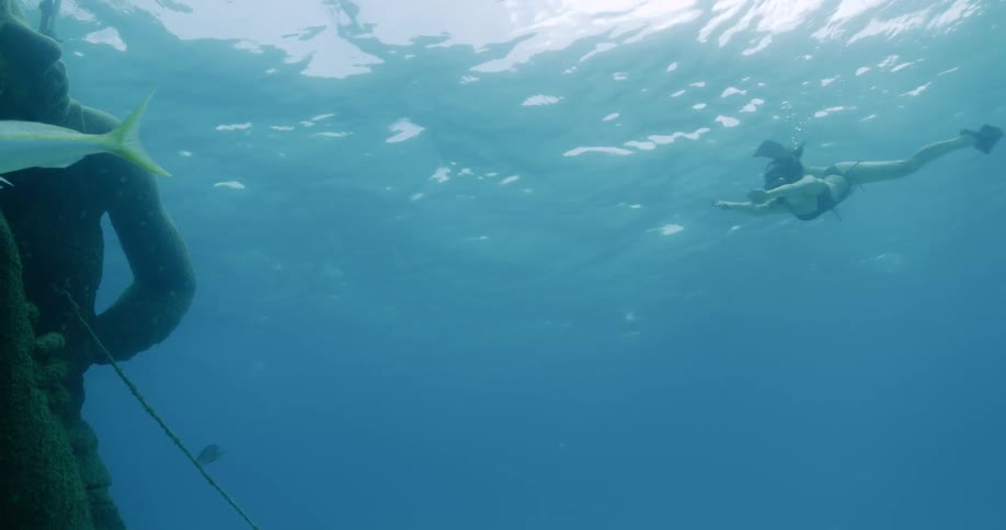 A woman dives under water towards a statue