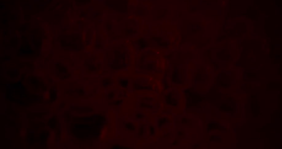 Bubbles move quickly in a liquid