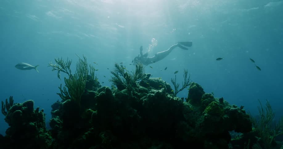 A woman snorkeling over a reef surrounded by fish