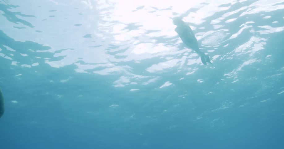 A caucasian female swimming underwater near a statue