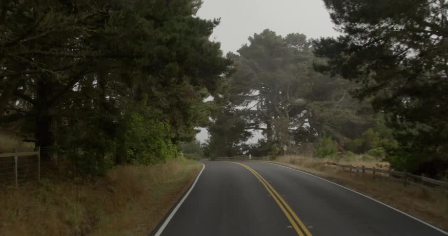 A road next to trees and a fence