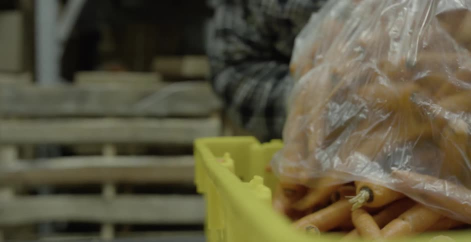 A person is pouring carrots from a clear plastic bag into a yellow crate