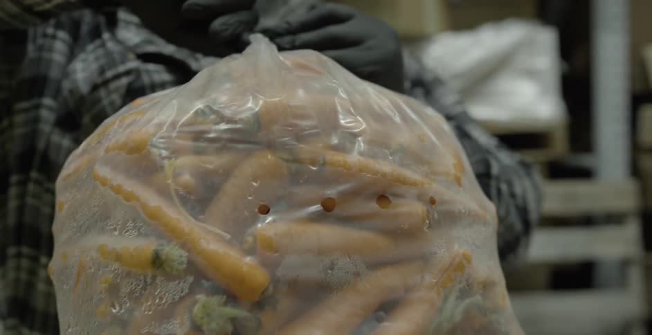 Man ties bag full of carrots