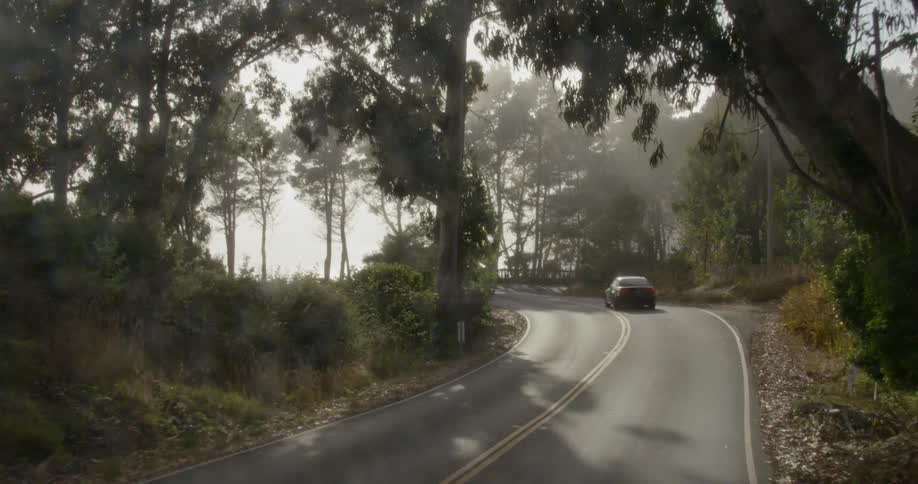 A car slowly travels on a tree lined road on a sunny day