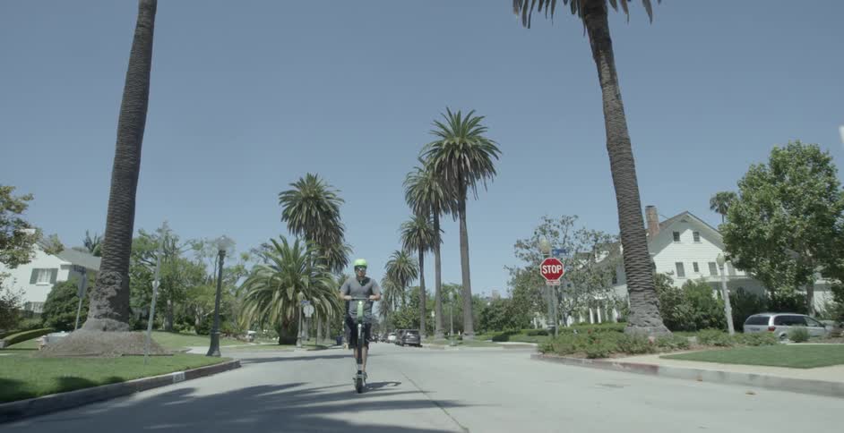 A male on a scooter traveling down a palm tree lined street