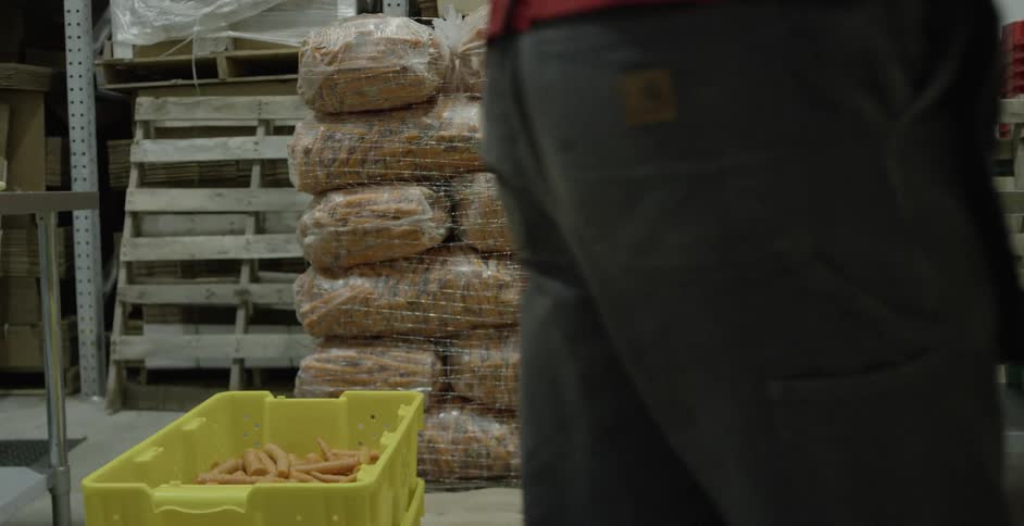 Large bags of carrots stacked onto a pallet inside of a factory