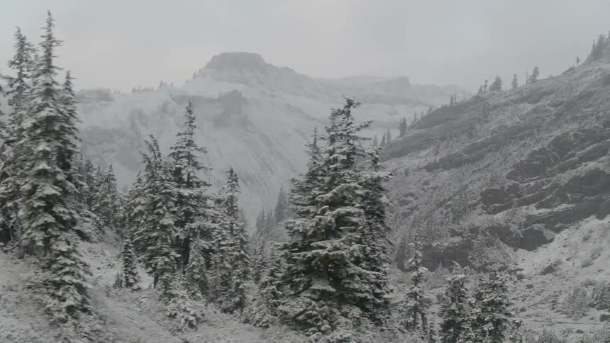 A snow covered mountain range covered in pine trees