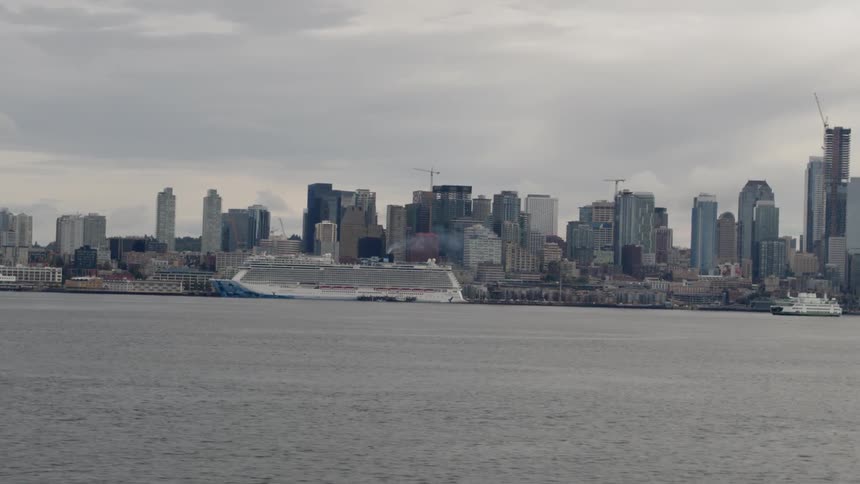 A cruise ship sits docked in the port of a large city