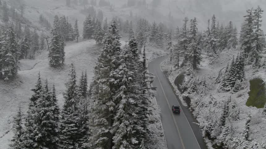 Snow covered trees overlook a mountain road and a single truck traveling