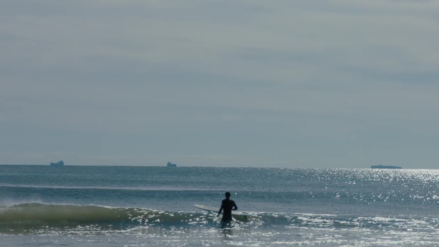 Surfer
