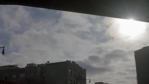 Birds flying above a dilapidated urban building