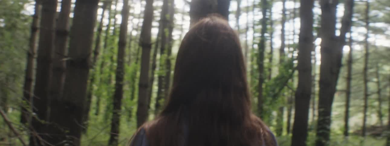 A person walking in the woods
