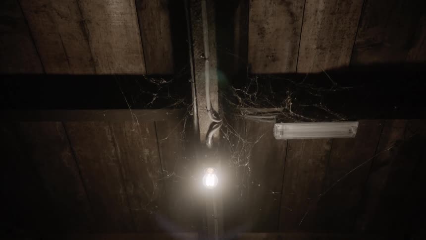 A light illuminates cobwebs
