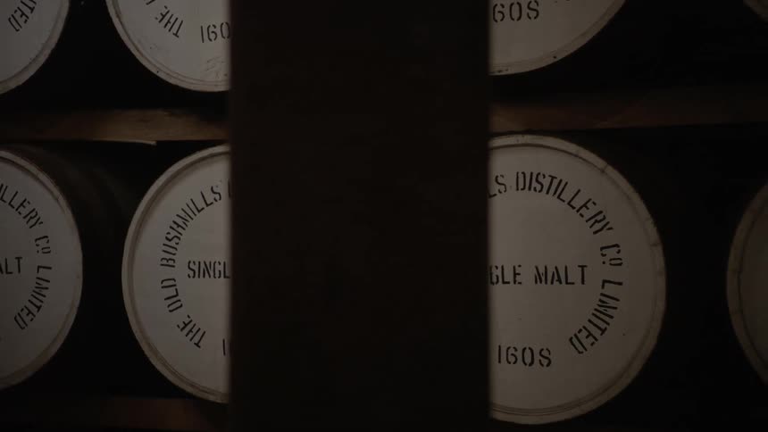 Single malt whiskey barrels stored in a distillery