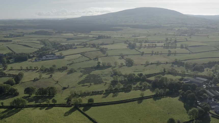 Large fields and trees in a wide open countryside with few buildings