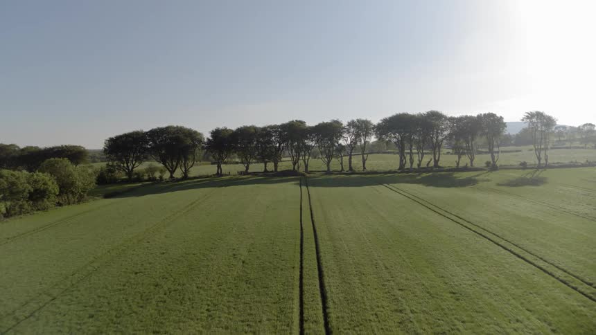 Tracks run through a rural field on a sunny day