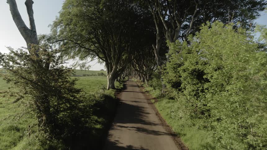 A dirt road with trees next to a field