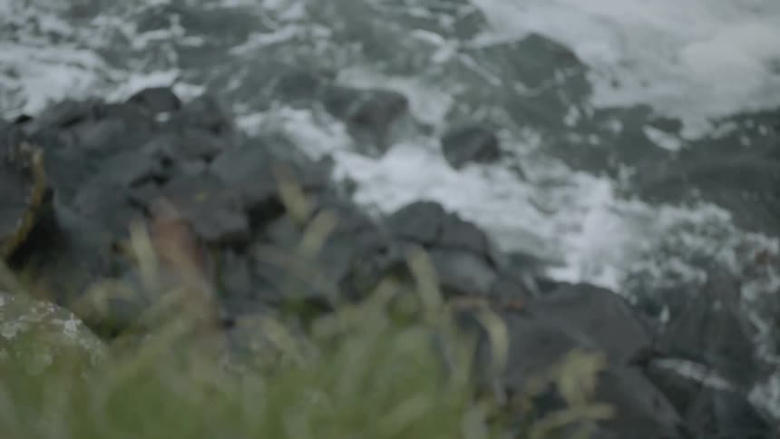 Grass blows in the breeze above crashing waves