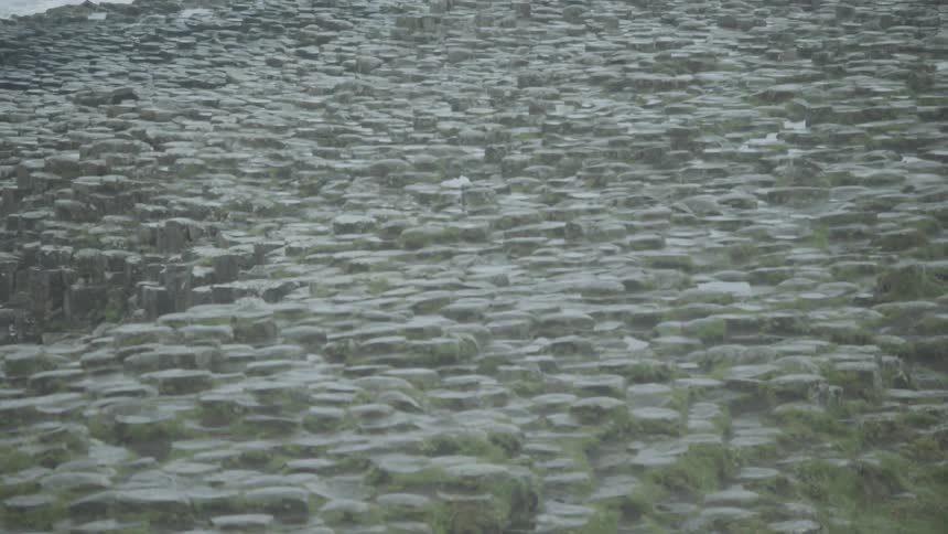 Moss covered rocks on ocean shore