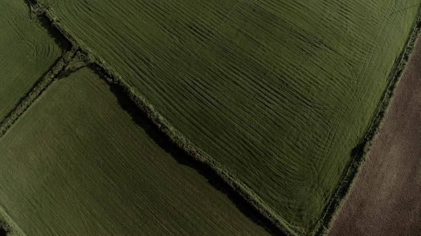 A large well mowed field surrounded by a green fence