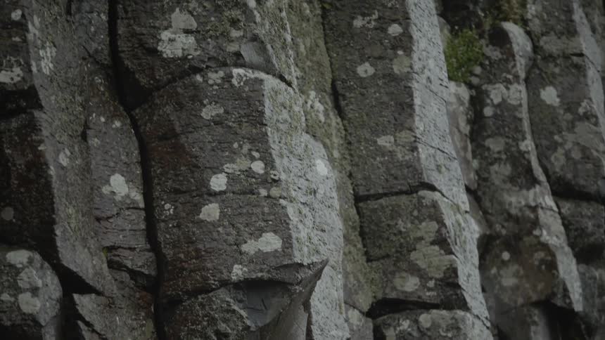 A rocky cliff with white spots on the rock