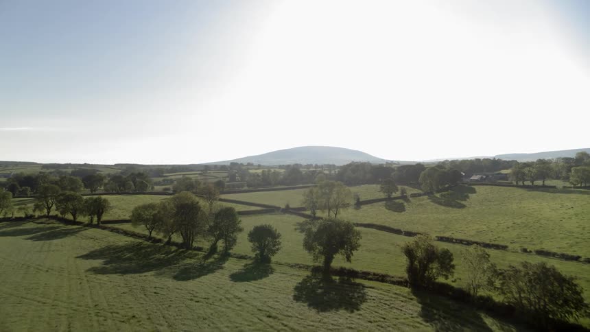 Wide shot of an open field