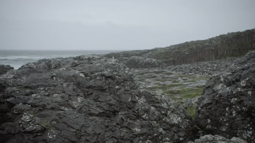 The shore is covered with large rocks and grass