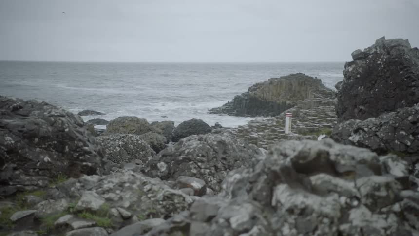 Rocks and grass cover an ocean shoreline