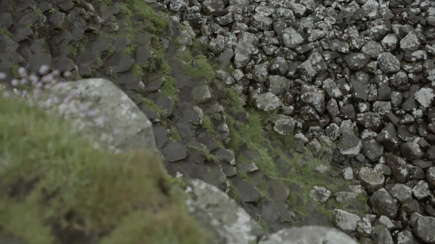 A lot of moss and rocks that are piled up