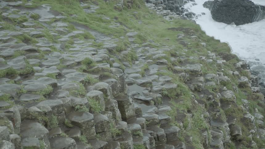 Algae covered rocks on hill near shore