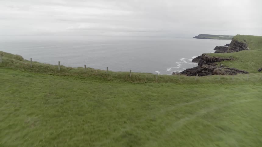 Sheep run on grass topped cliffs along the ocean shore