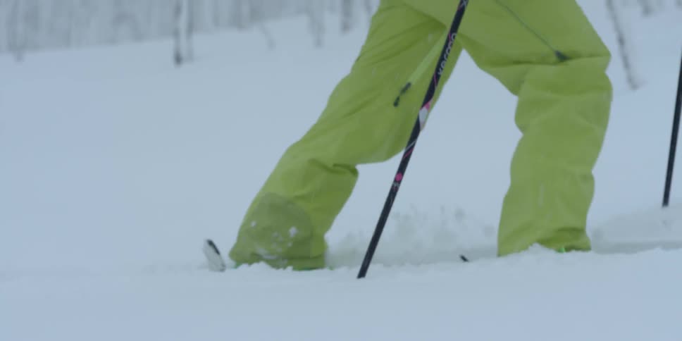 Two people hike through a snowy forest
