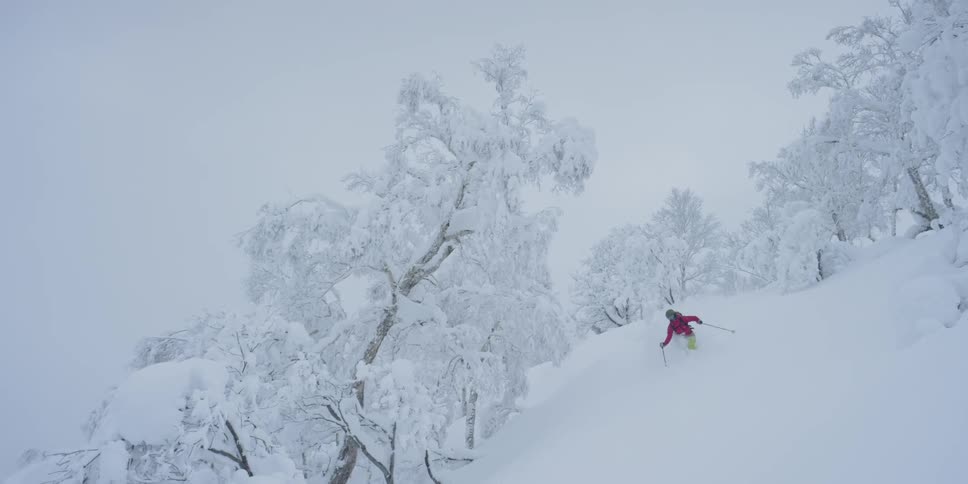 A skier in a red jacket skis through fresh powder down a hill past snow covered trees and branches